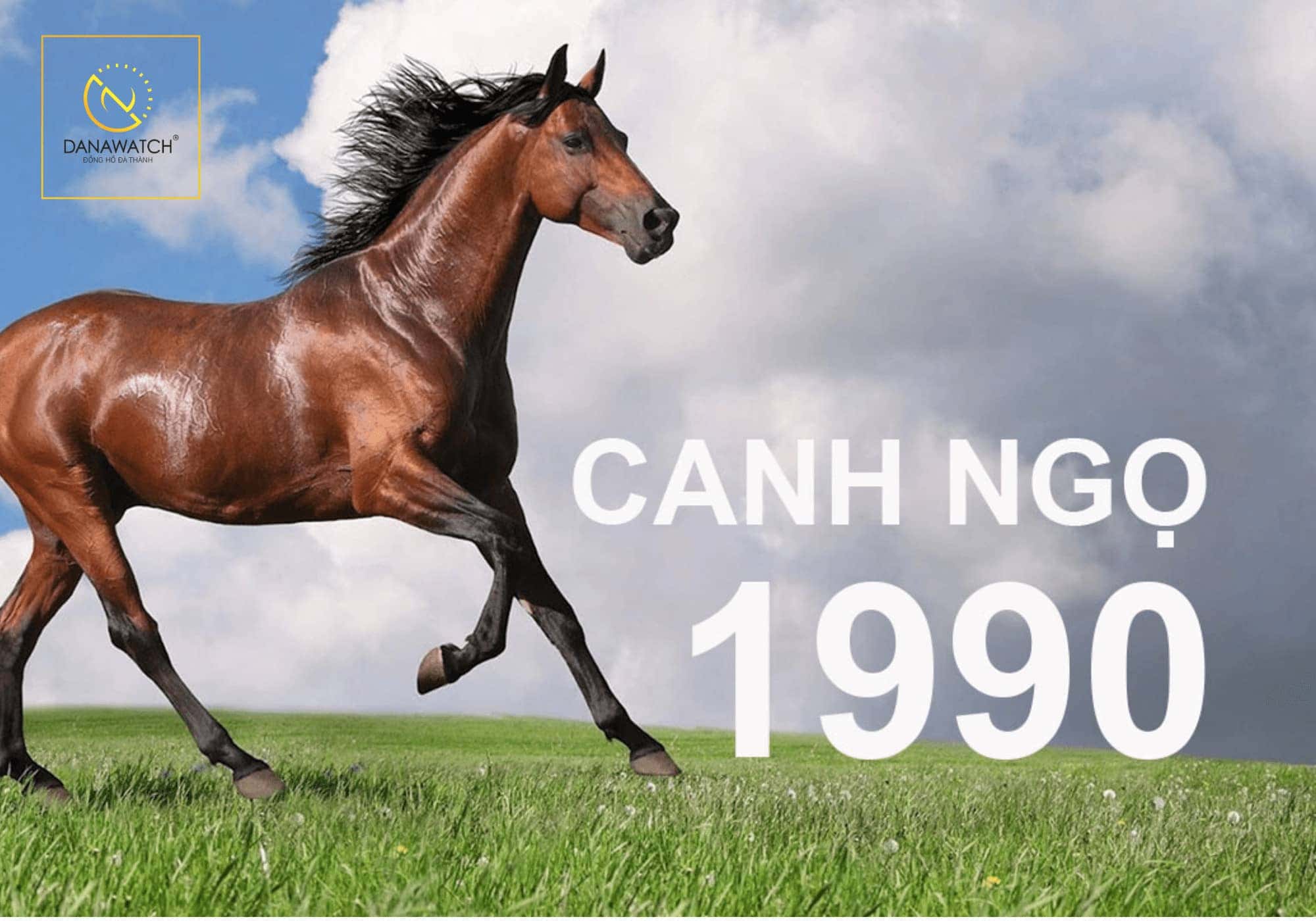 Hình ảnh con ngựa, biểu tượng của tuổi Canh Ngọ sinh năm 1990 tuổi gì