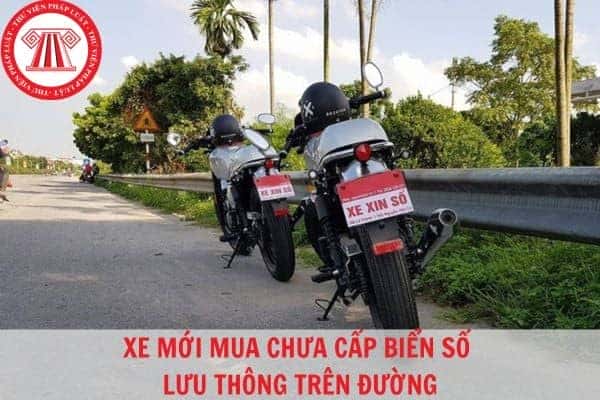 Hình ảnh xe ô tô mới mua đang trong quá trình chuẩn bị giấy tờ đăng ký và biển số xe, minh họa cho việc xe chưa có cavet liệu có được phép lưu thông hay không.