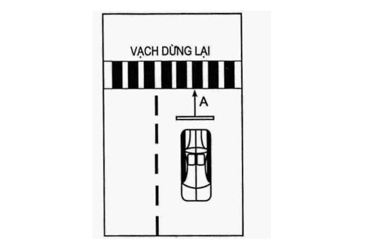 Kỹ thuật dừng xe đúng vạch khi thi sa hình B1