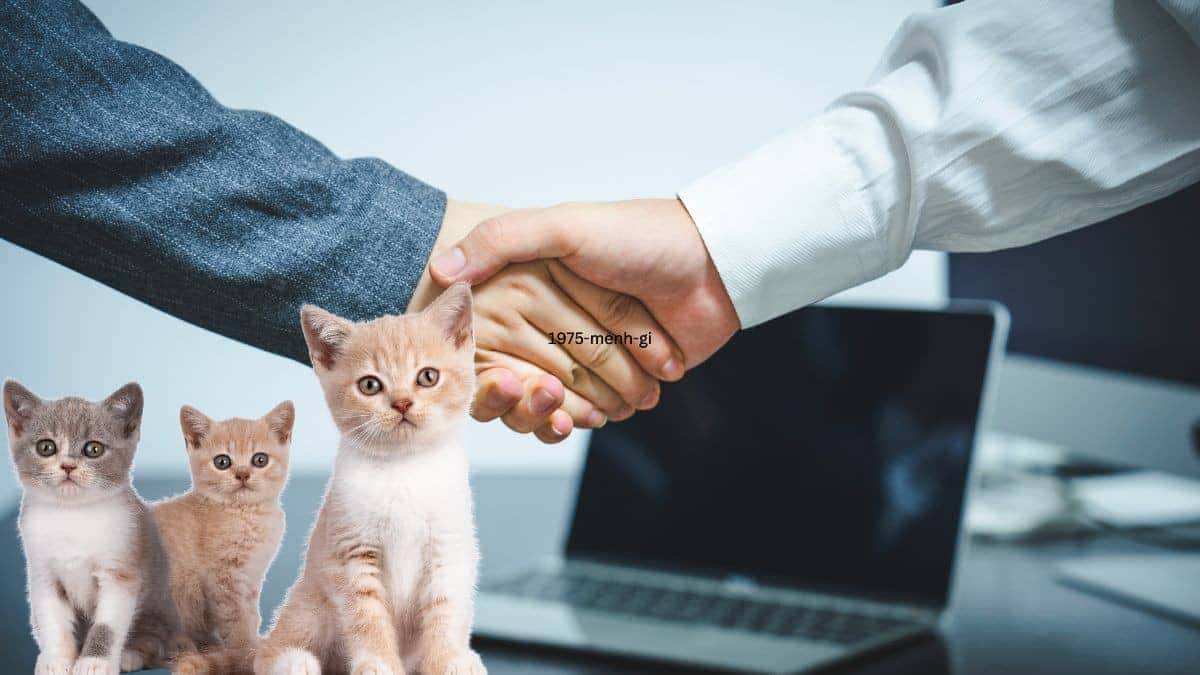 Lựa chọn tuổi hợp để làm ăn sẽ giúp công việc thuận lợi