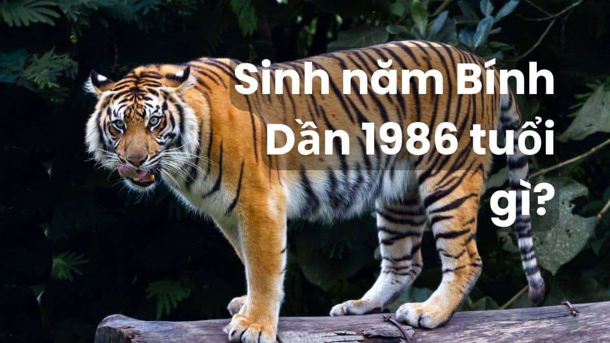 Lựa chọn xe điện cho người sinh năm 1986