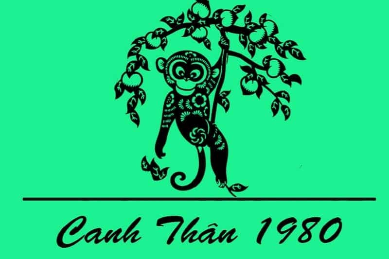 Màu sắc may mắn hợp người sinh năm 80 tuổi gì mệnh Mộc