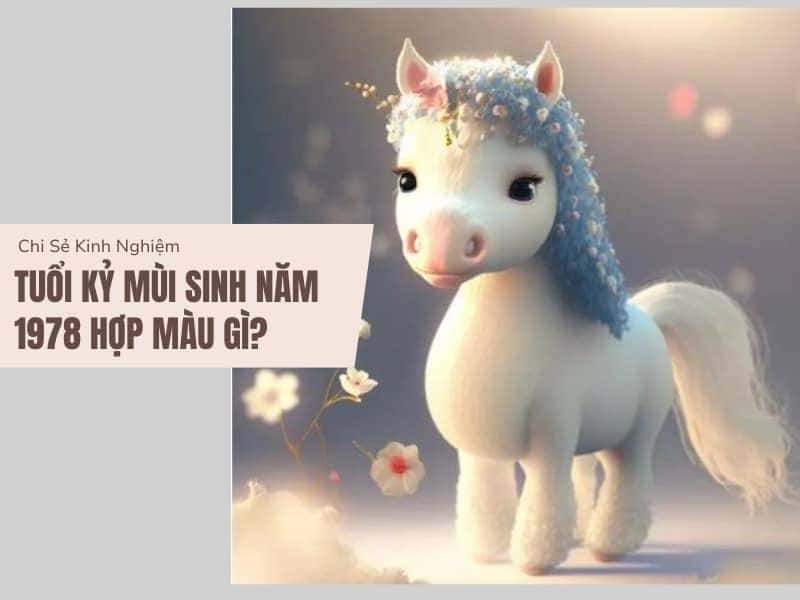 Màu sắc nào hợp với người sinh năm 1978 theo phong thủy?