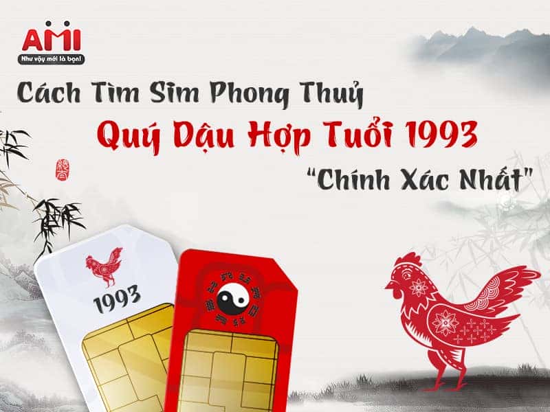 Minh họa cách ứng dụng phong thủy trong việc lựa chọn xe và phụ kiện cho người tuổi Quý Dậu 1993 hợp số nào.
