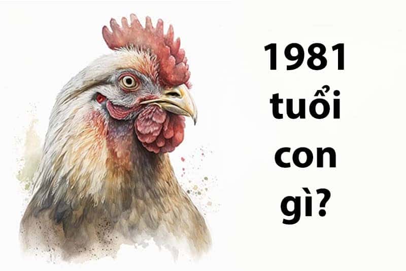 Người phụ nữ trẻ trong không gian mở đang tập trung nhìn vào màn hình máy tính bảng