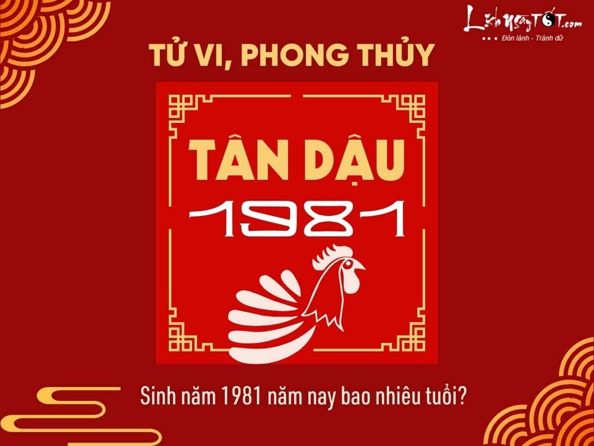 Người sinh năm 1981 Tân Dậu hiện đang bao nhiêu tuổi và những điều thú vị về cung mệnh