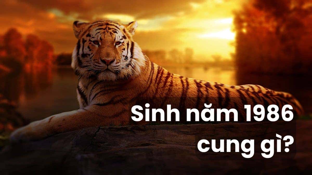 Người sinh năm 1986 kiểm tra bảo dưỡng xe