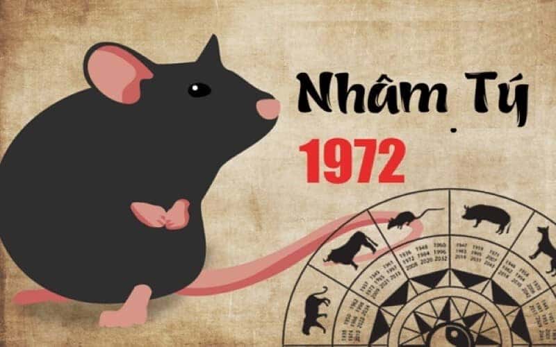 Người tuổi Nhâm Tý 1972 suy nghĩ về phong thủy