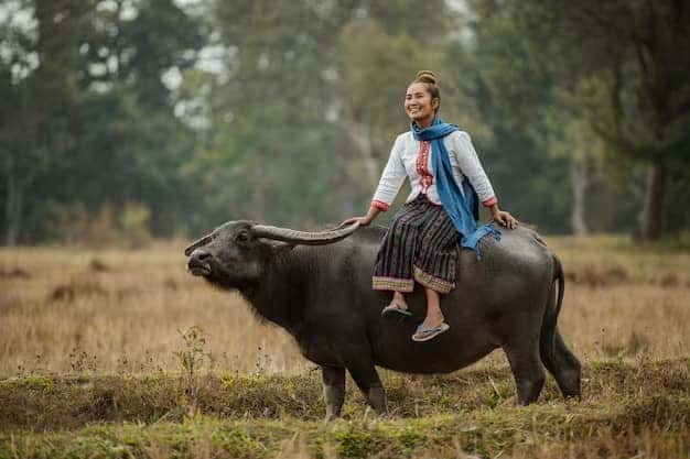 Nữ Ất Sửu 1985 có tâm hồn lãng mạn, biết yêu thương và quan tâm gia đình