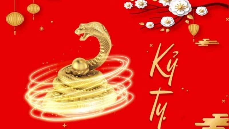 Nữ Kỷ Tỵ 1989 cung Tốn có tính cách hòa nhã, yêu thương, lựa chọn xe hợp mệnh