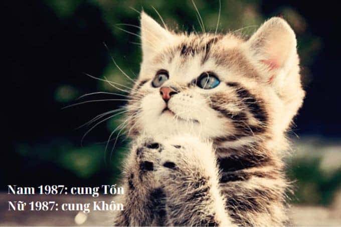 Nữ sinh năm 1987 hợp tuổi nào trong tình duyên và sự nghiệp