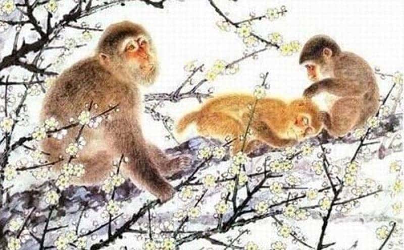 Quan hệ hợp khắc giữa các tuổi đối với Nhâm Thân 1992 trong kinh doanh và tình duyên