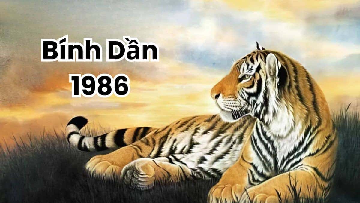 Tính cách nam giới tuổi Dần năm 1986