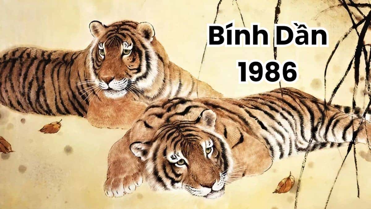 Tính cách nữ giới tuổi Dần năm 1986