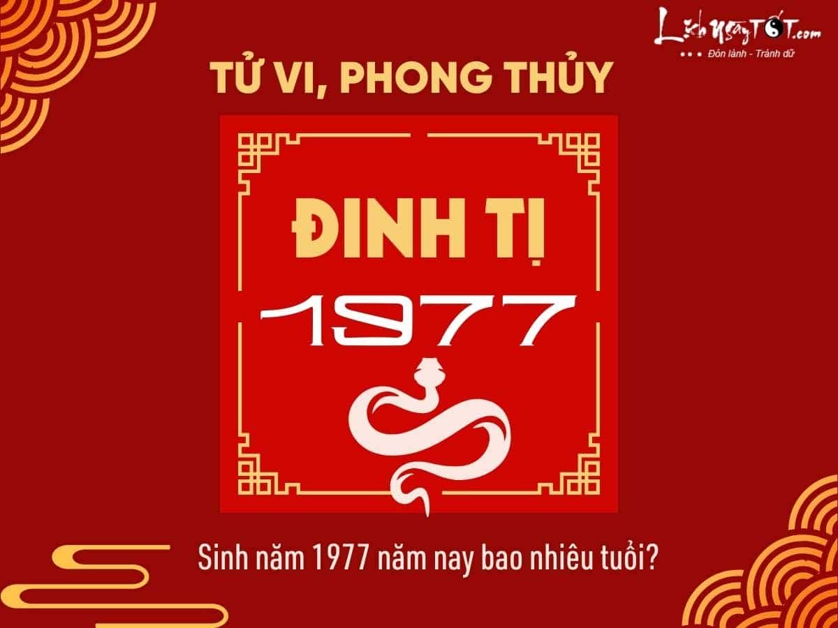 Tổng quan về tuổi Đinh Tỵ 1977, cầm tinh con Rắn