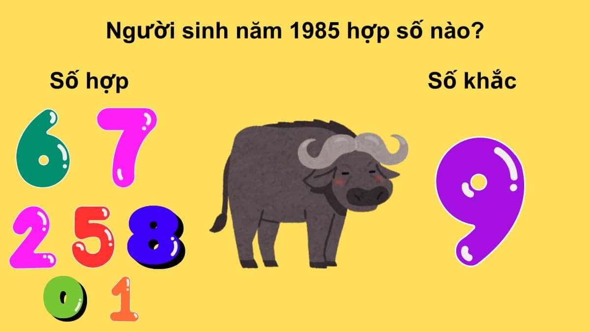 Tuổi Ất Sửu 1985 hợp với con số nào theo phong thủy