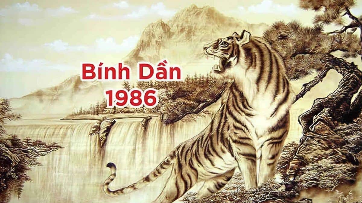 Tuổi Dần năm 1986 hợp các tuổi Đinh Mão và Canh Ngọ