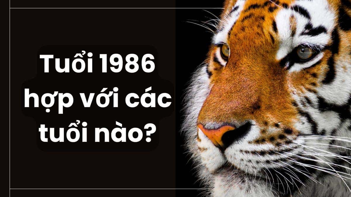 Tuổi Dần năm 1986 hợp và kỵ hướng nào