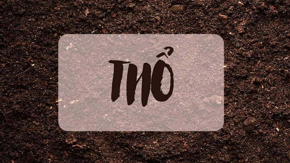 Tuổi Đinh Tỵ 1977 mệnh Thổ
