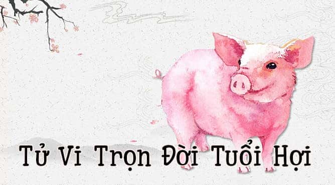 Vật phẩm phong thủy cho xe của người tuổi Ất Hợi