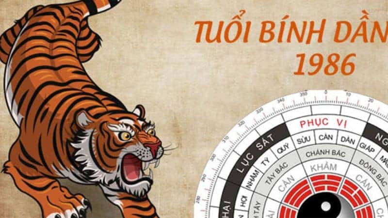 Vật phẩm phong thuỷ hợp với tuổi Bính Dần sinh năm 1986