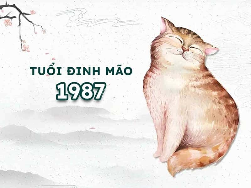 Xác định tuổi con gì cho người sinh năm 87 mệnh gì