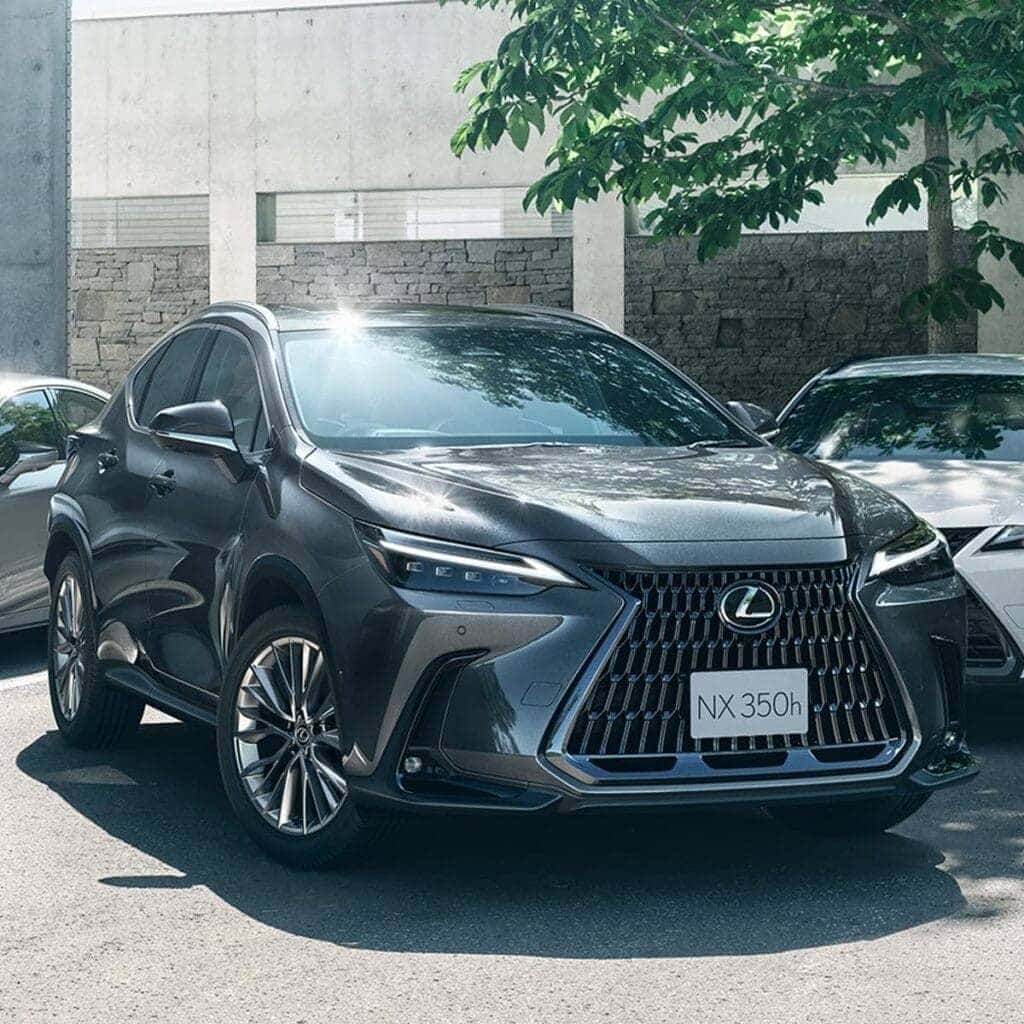 Xe Lexus 5 chỗ NX với thiết kế hiện đại và khả năng vận hành mạnh mẽ
